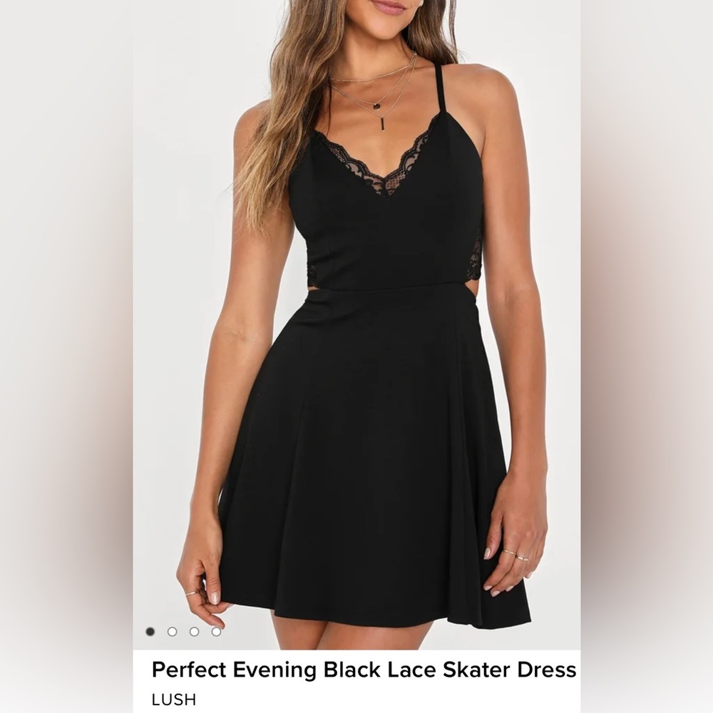 LUSH | Black Lace Skater Dress